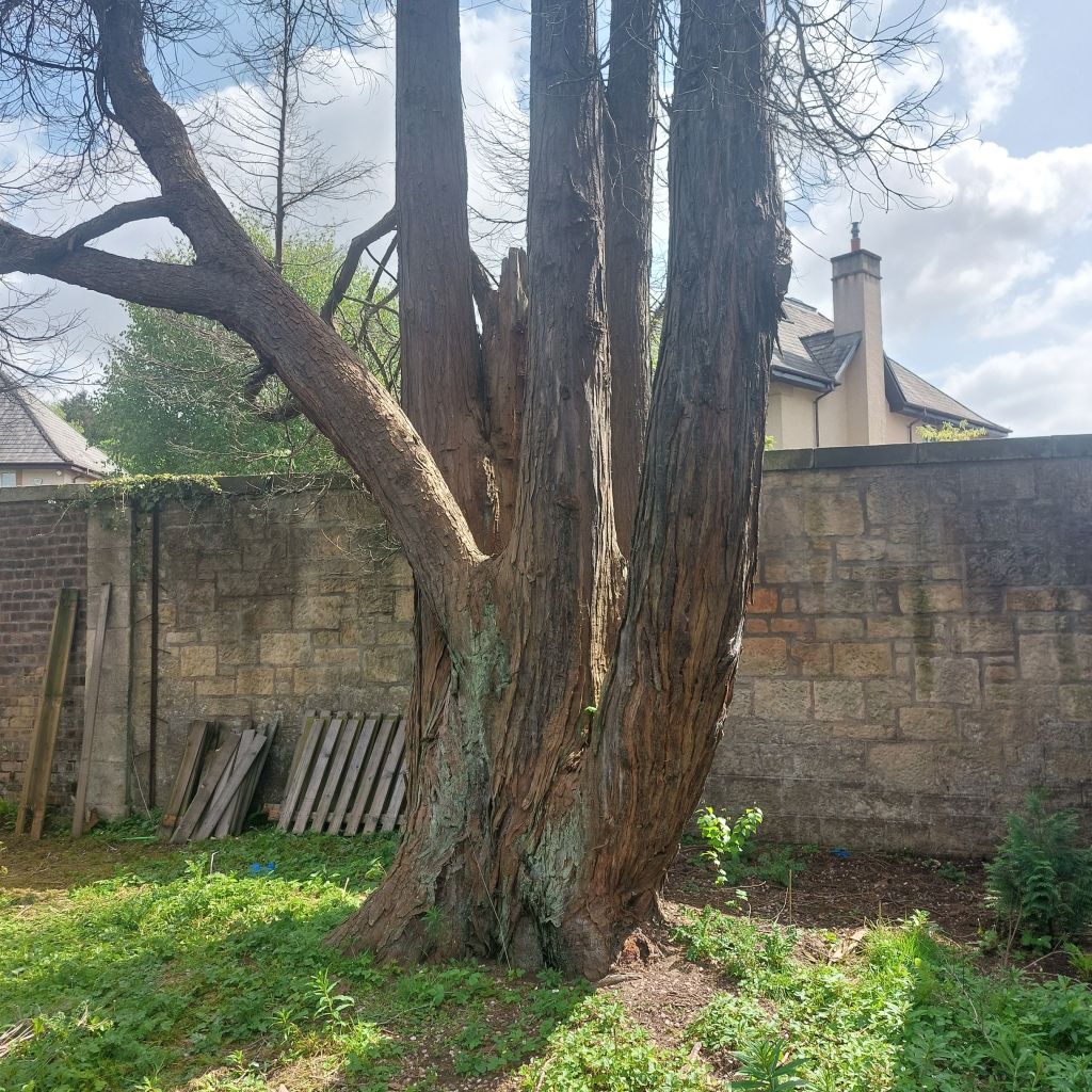 20230519_1132041981680234205162650