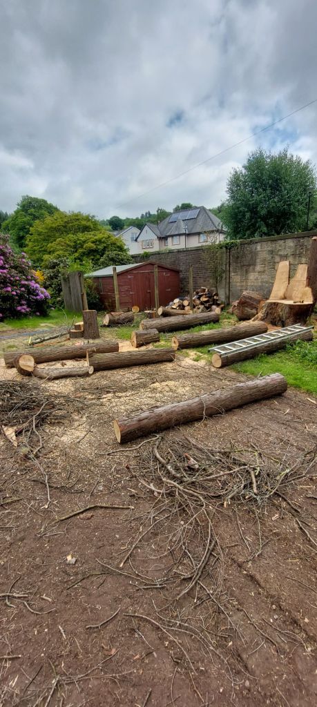 20230601_1112061589612542554253822