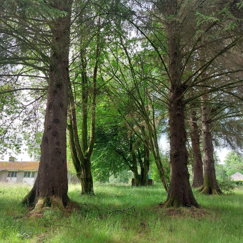 20230705_100508548918041866250110