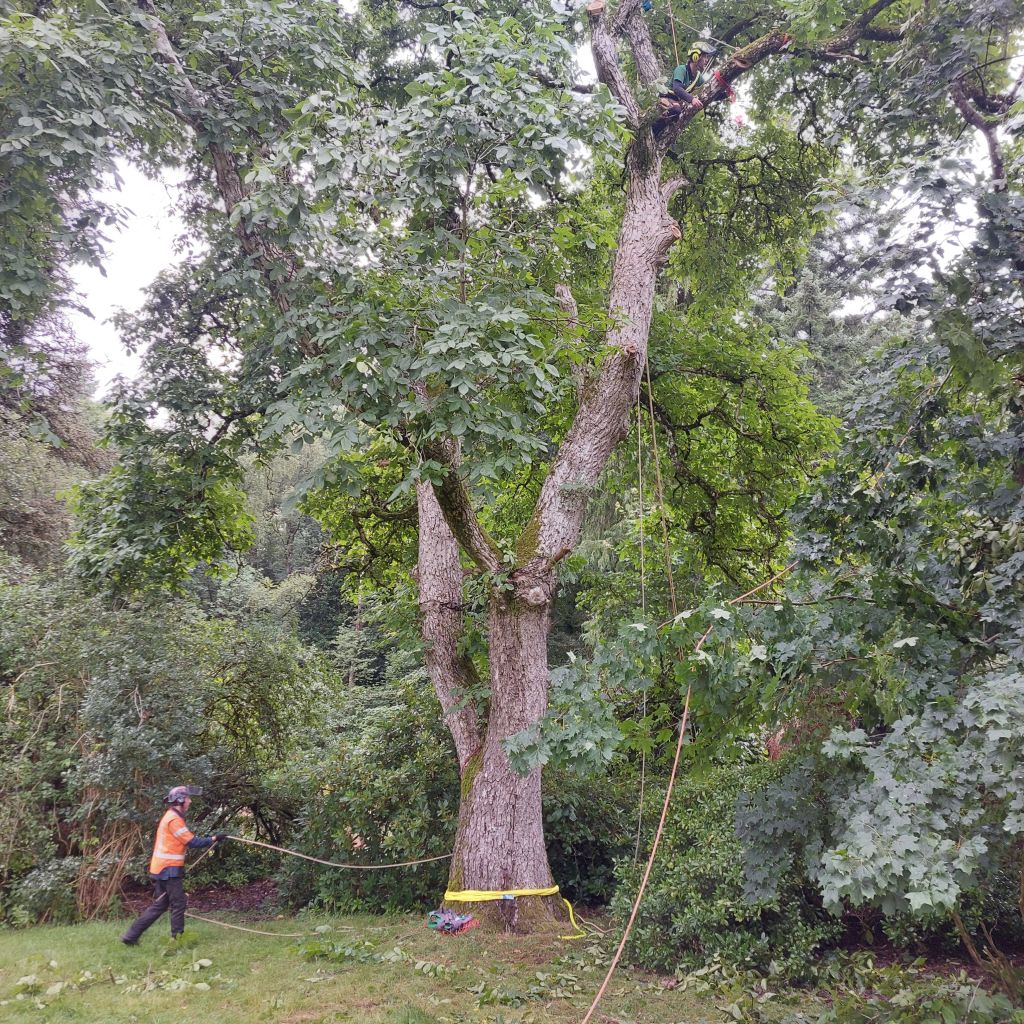 20230727_1325091396515043298057155