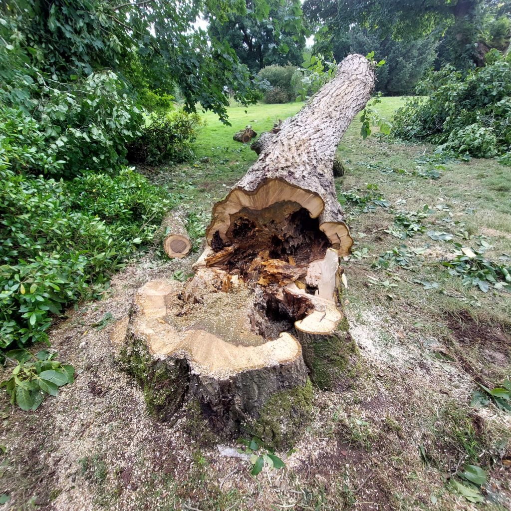 20230728_1719487395696870463618974