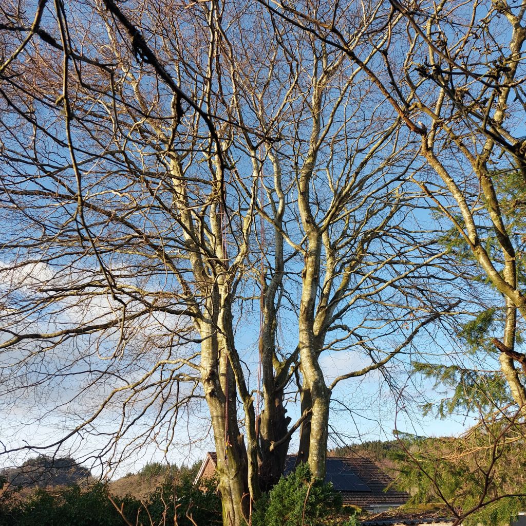 20240226_1617443231337876166521437